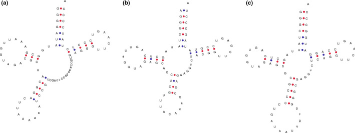 FIGURE 3