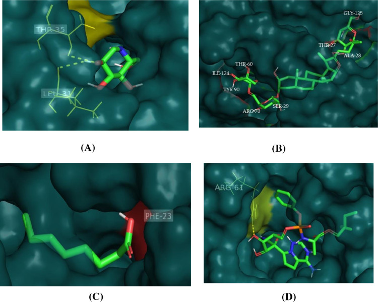 Fig 6