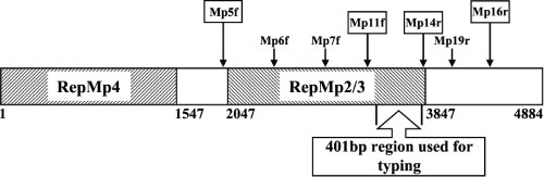 FIG. 1.