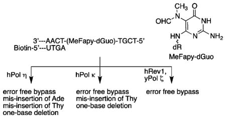 graphic file with name nihms473086u1.jpg