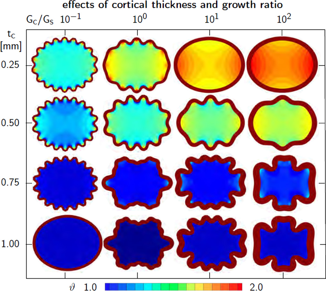 Figure 11