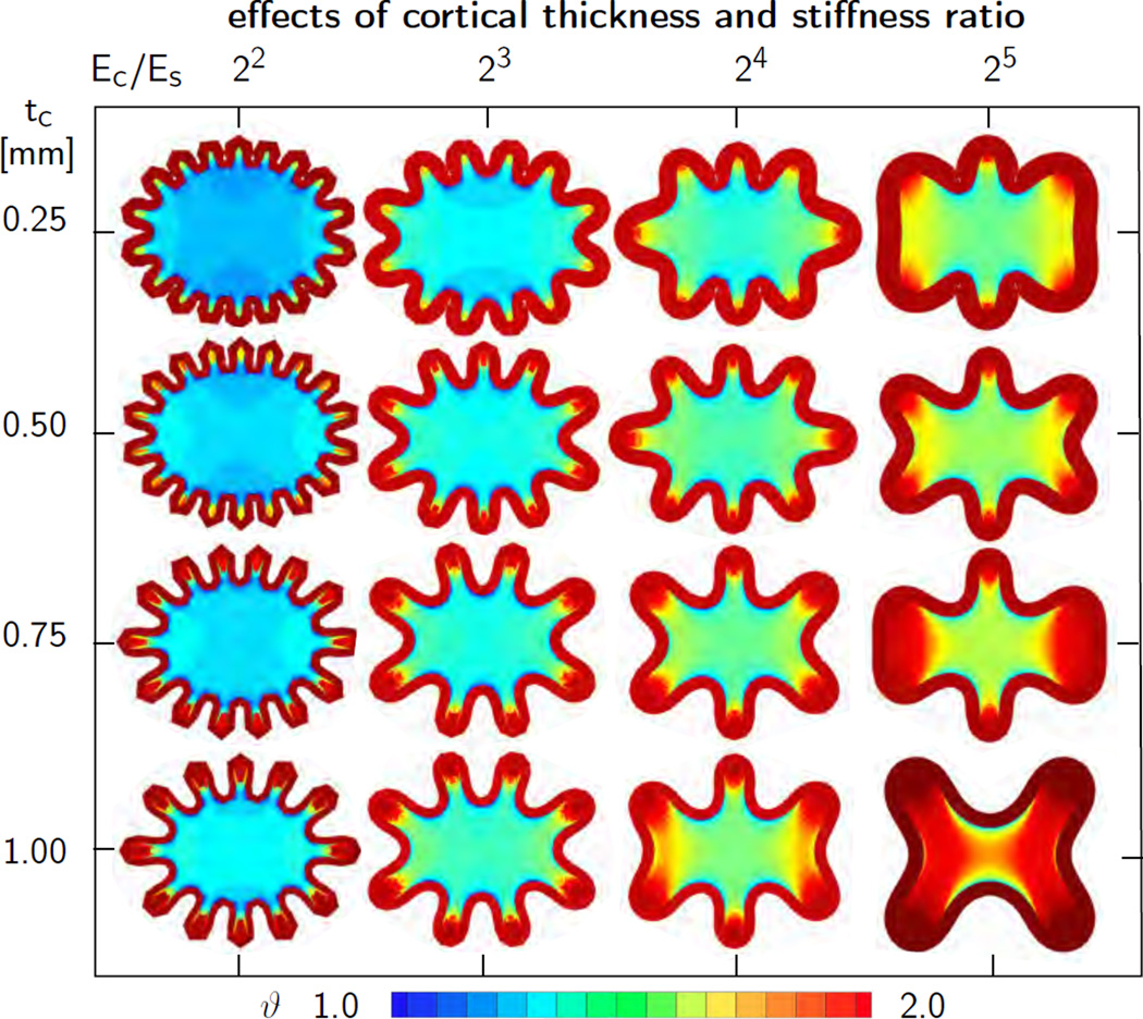 Figure 9