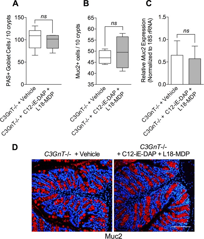 FIG 6