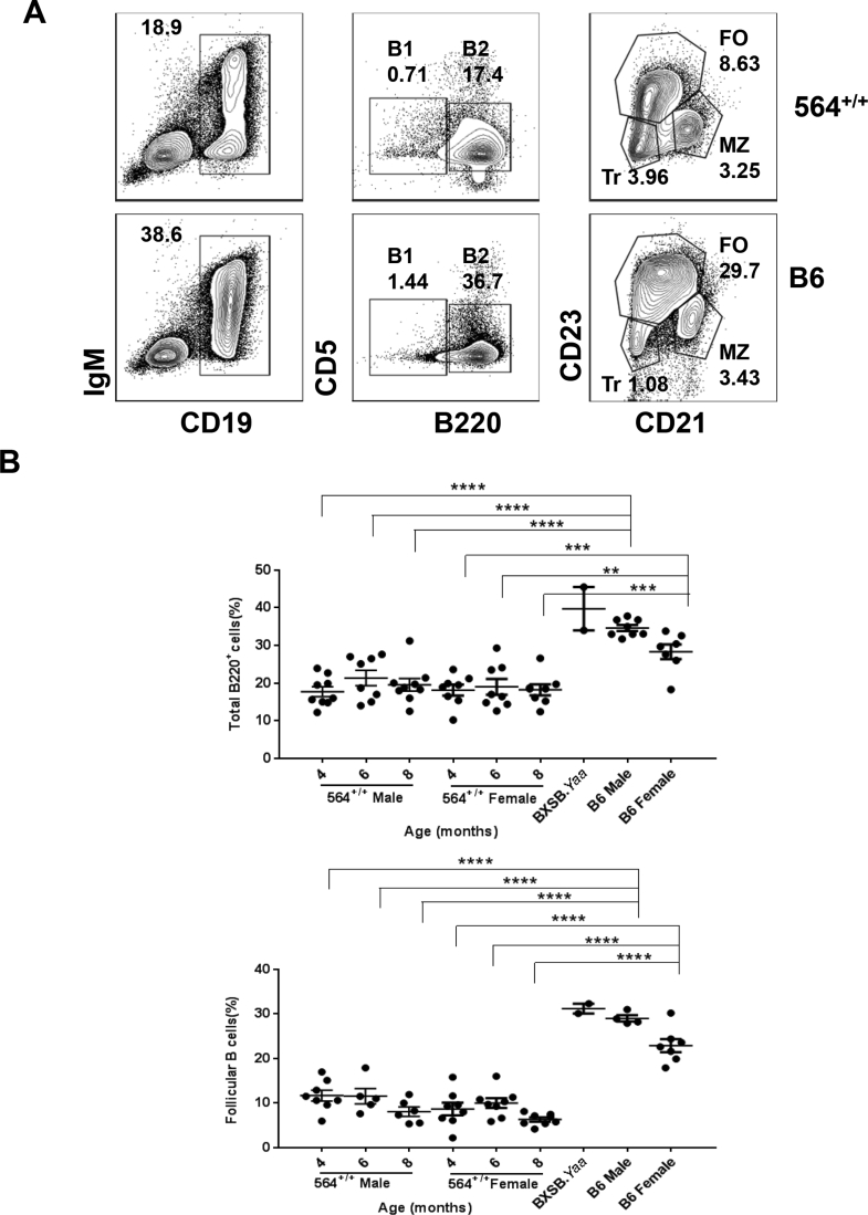 Supplemental Figure S3