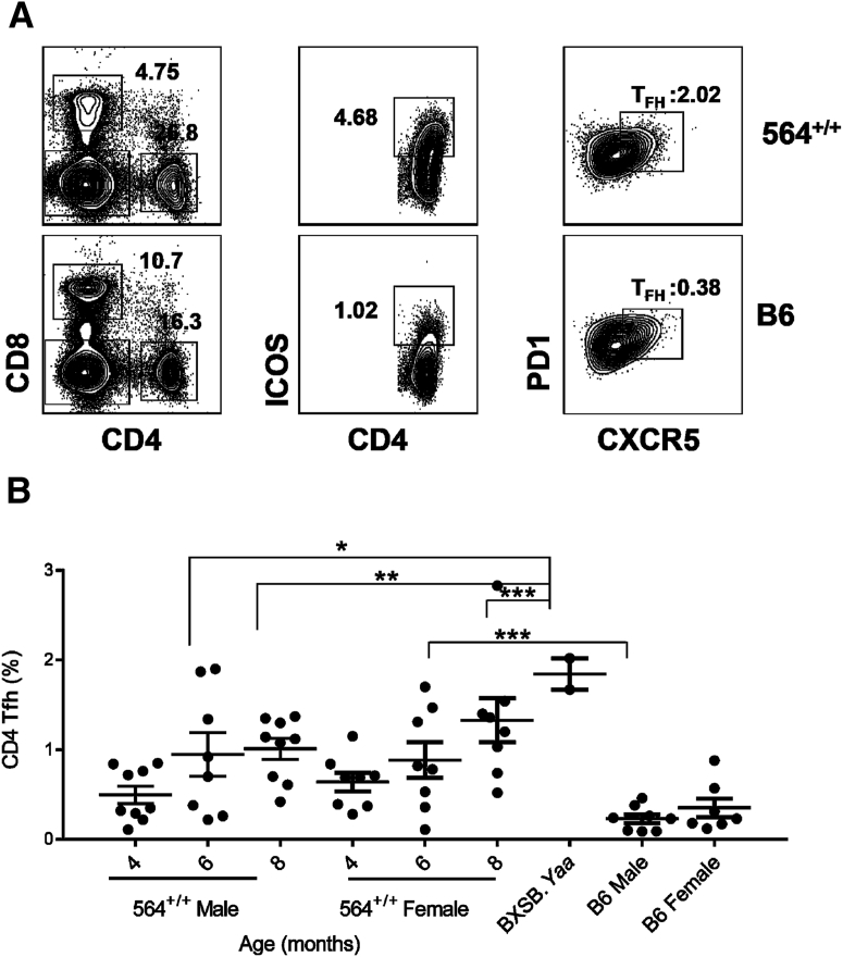 Figure 2