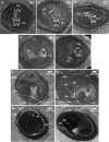 Fig. 6