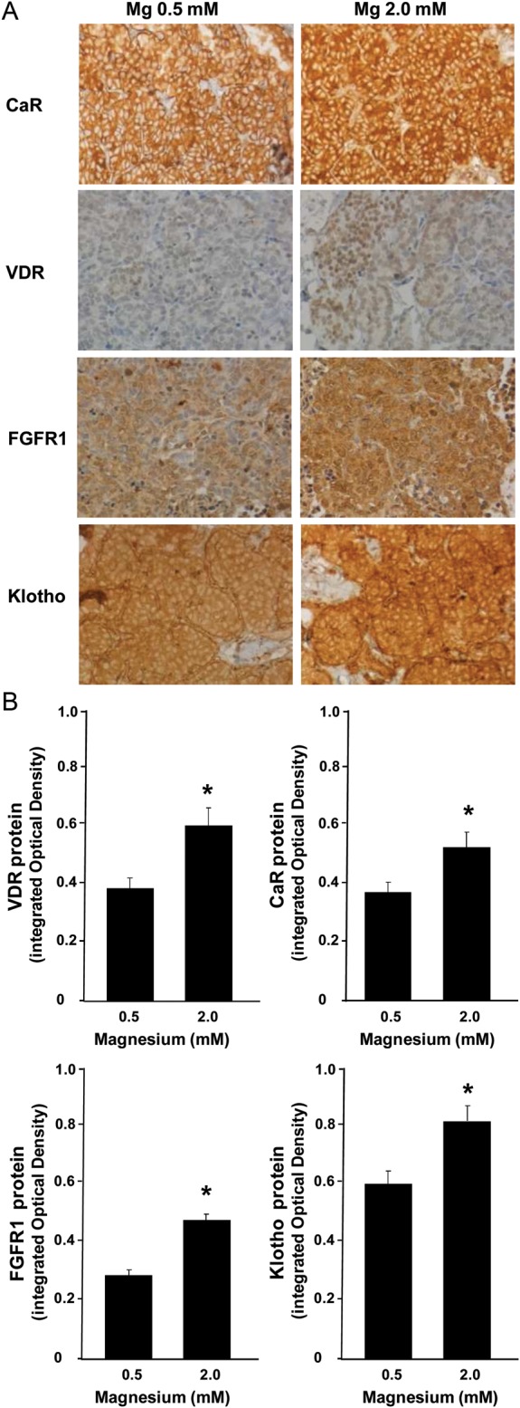 FIGURE 3: