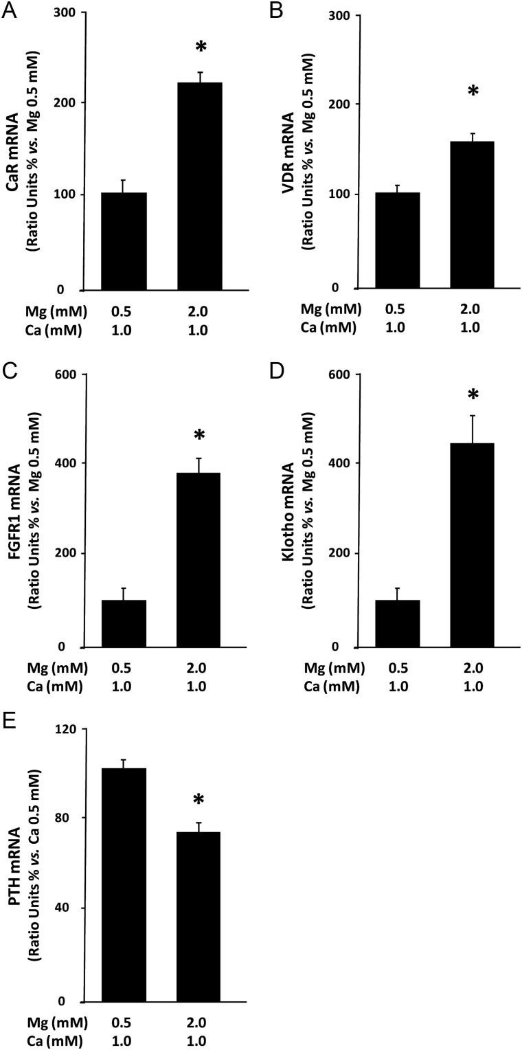 FIGURE 2: