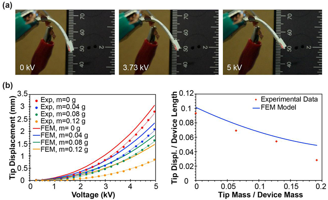 Figure 4: