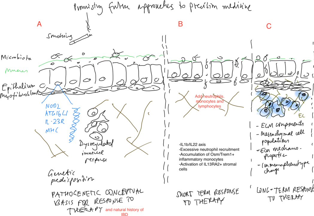 Figure 4: