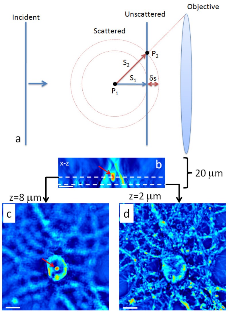 Fig. 1