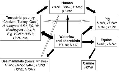 FIG. 1.