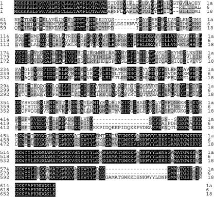 FIG. 6.