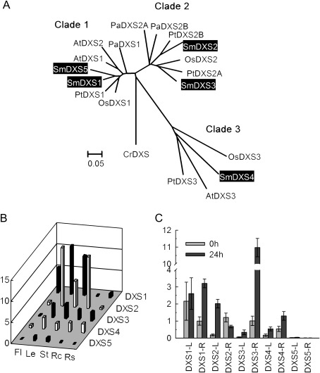 Fig. 2.