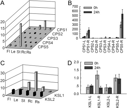 Fig. 7.