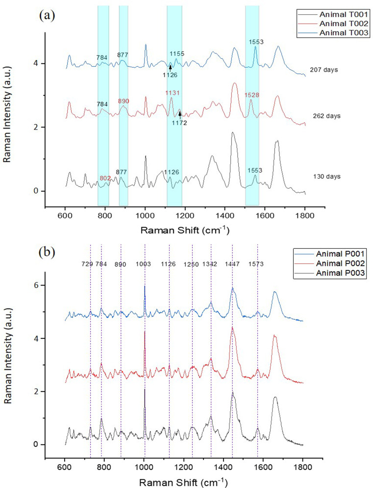 Fig 8