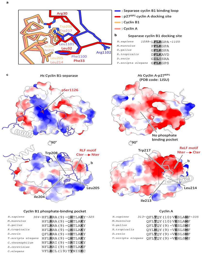 Extended Data Fig. 13