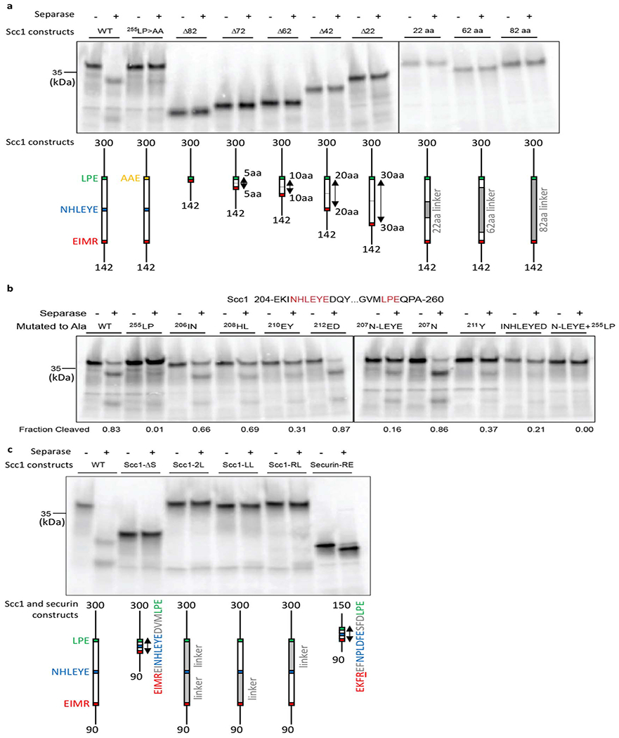 Extended Data Fig. 9