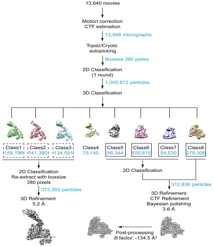 Extended Data Fig. 5