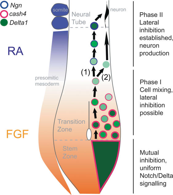 Figure 7.