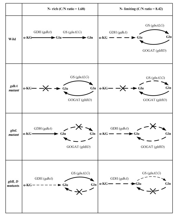 Figure 8