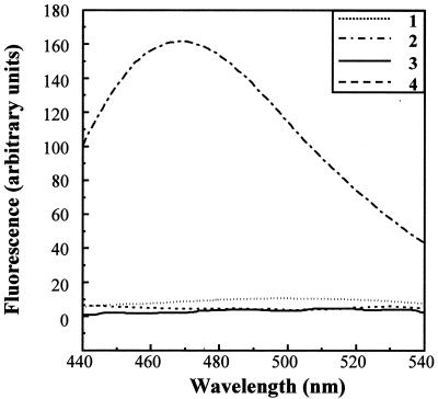 FIG. 7