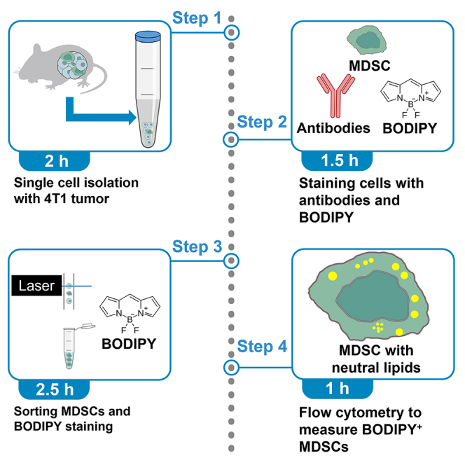 graphic file with name fx1.jpg