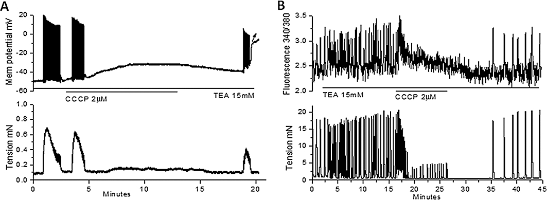 Figure 9