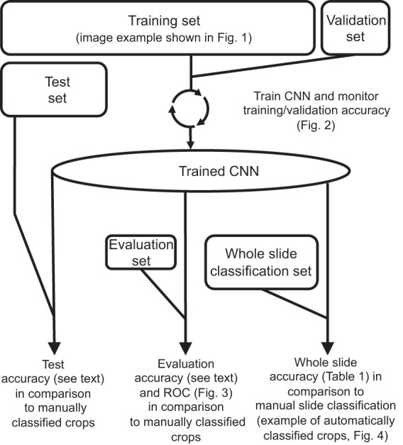 FIG 5