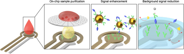 graphic file with name 216_2023_4627_Figa_HTML.jpg