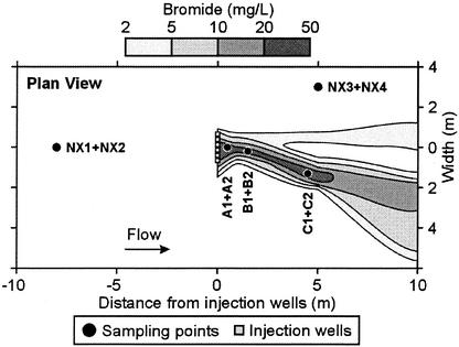 FIG. 2.