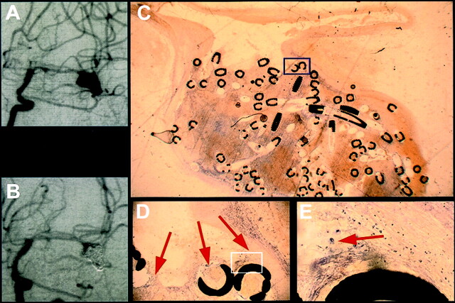 Fig 2.