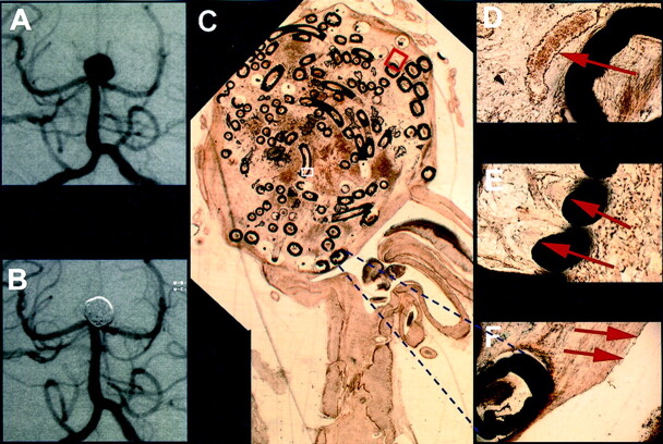 Fig 4.