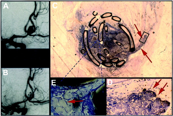 Fig 3.