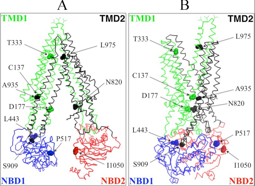 FIGURE 1.