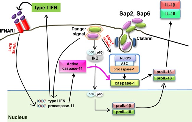 FIG 5