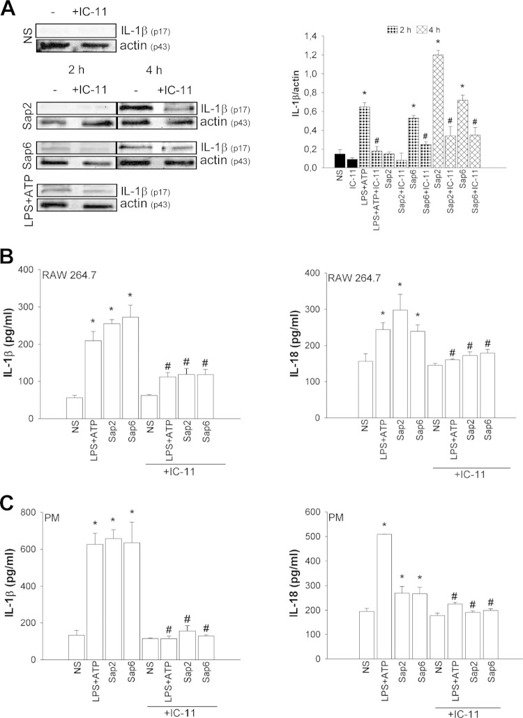 FIG 3