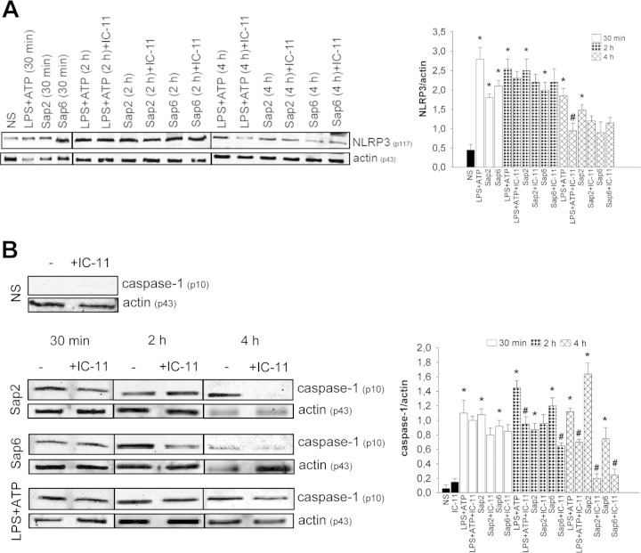 FIG 2