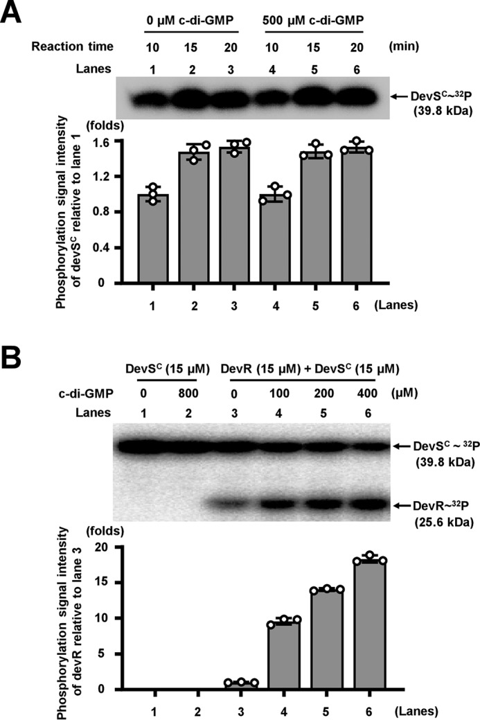 Figure 7.