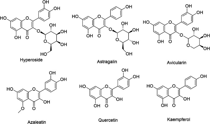 FIGURE 4