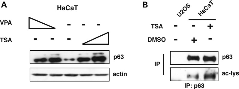 Figure 1.