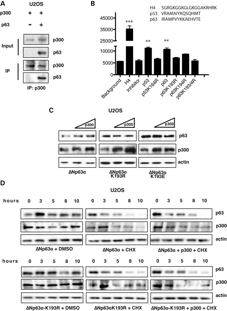 Figure 3.