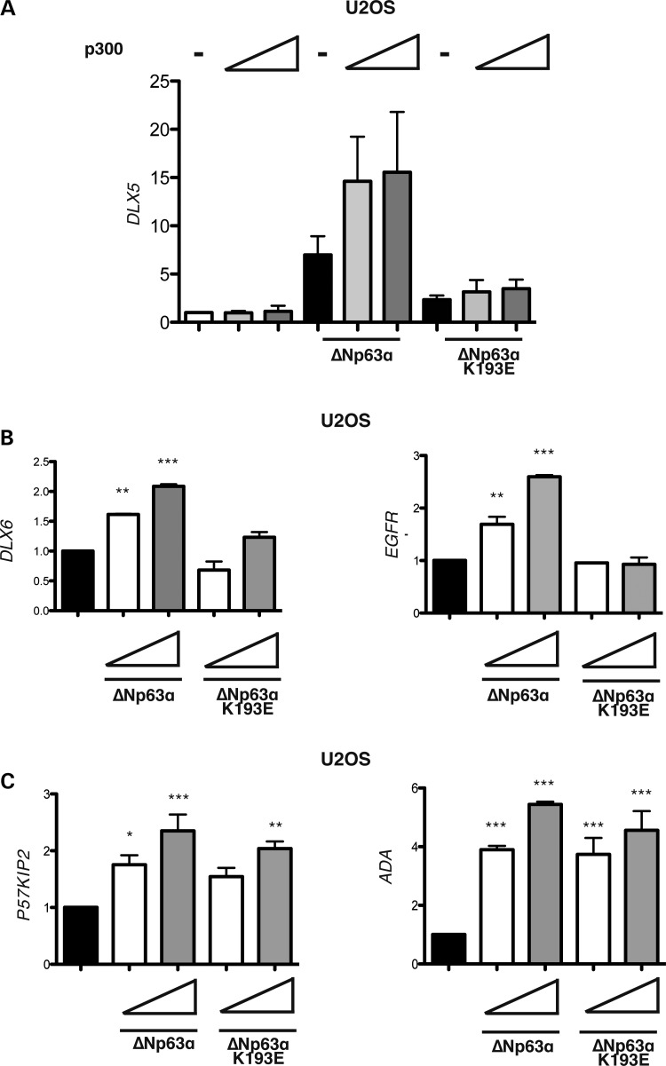 Figure 5.