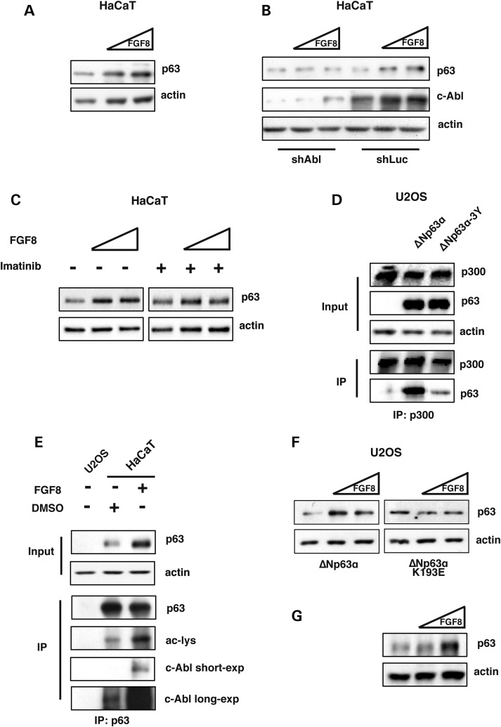 Figure 4.