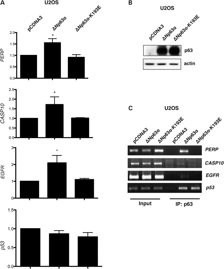 Figure 6.