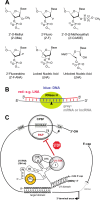Figure 26
