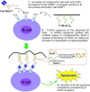 Figure 29