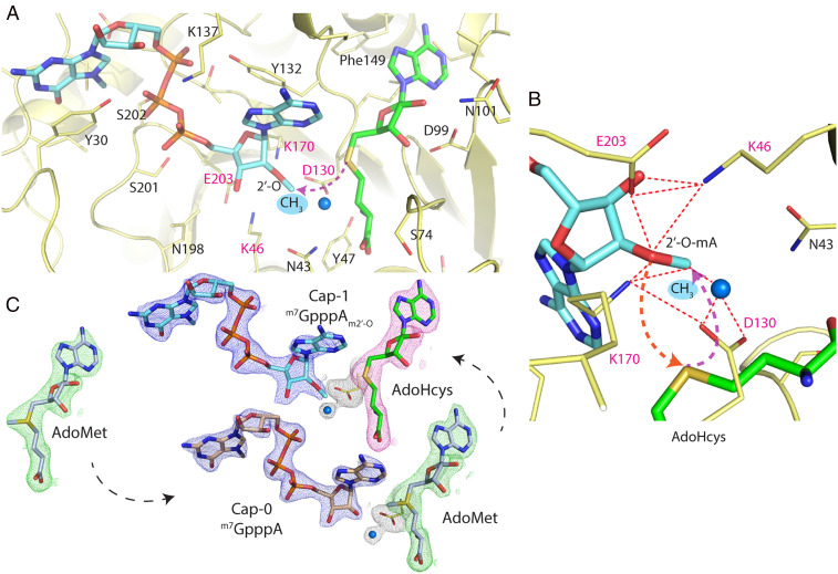 Fig. 4.