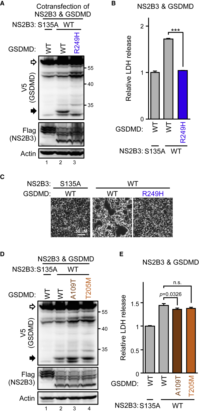 Figure 5