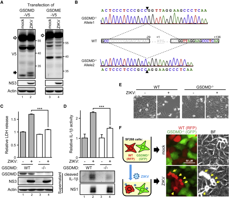 Figure 2